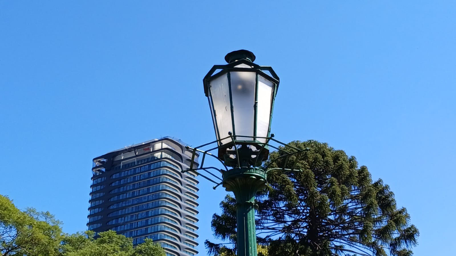  León con su cría