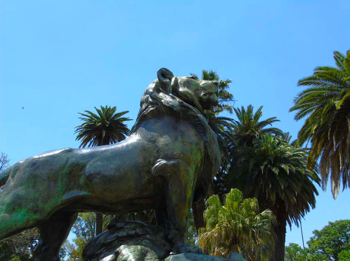  León con su caza