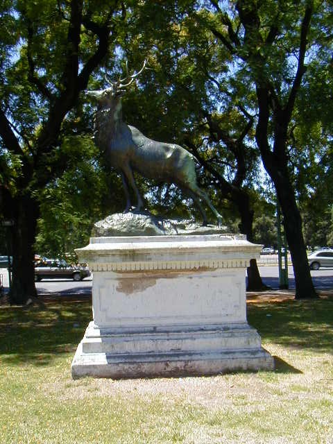  Ciervo