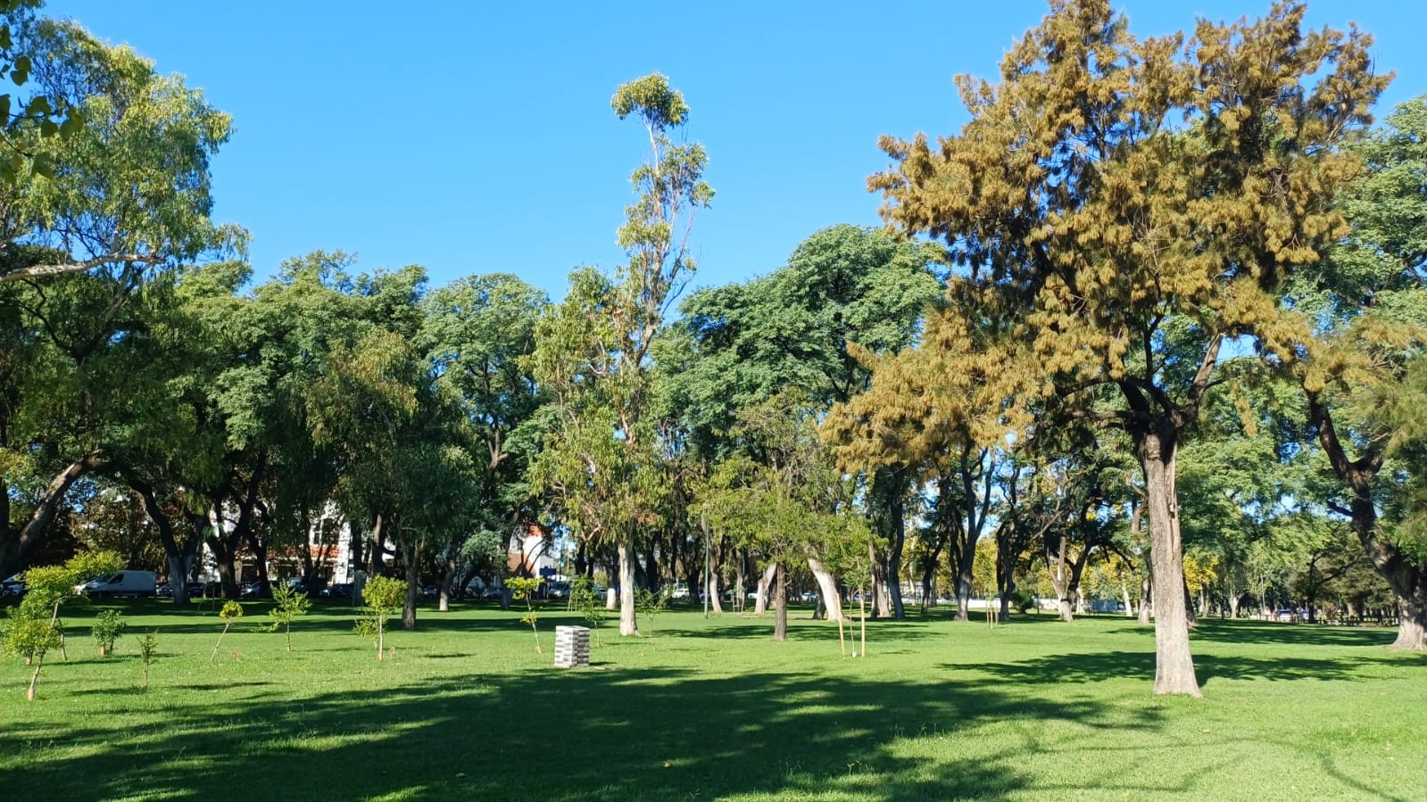 Plaza Israel