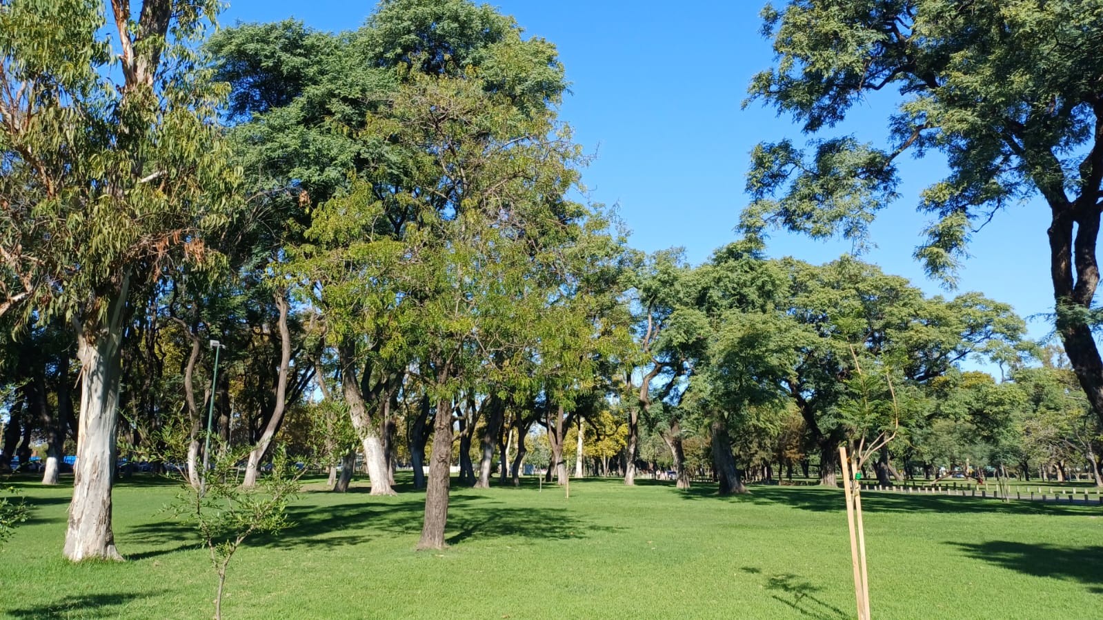 Plaza Israel