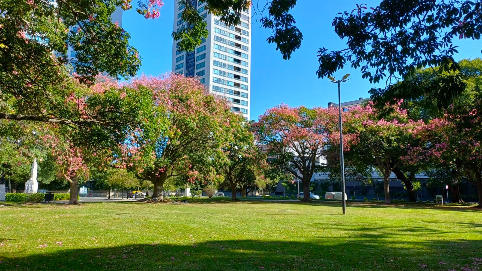 Imagen de galería 1