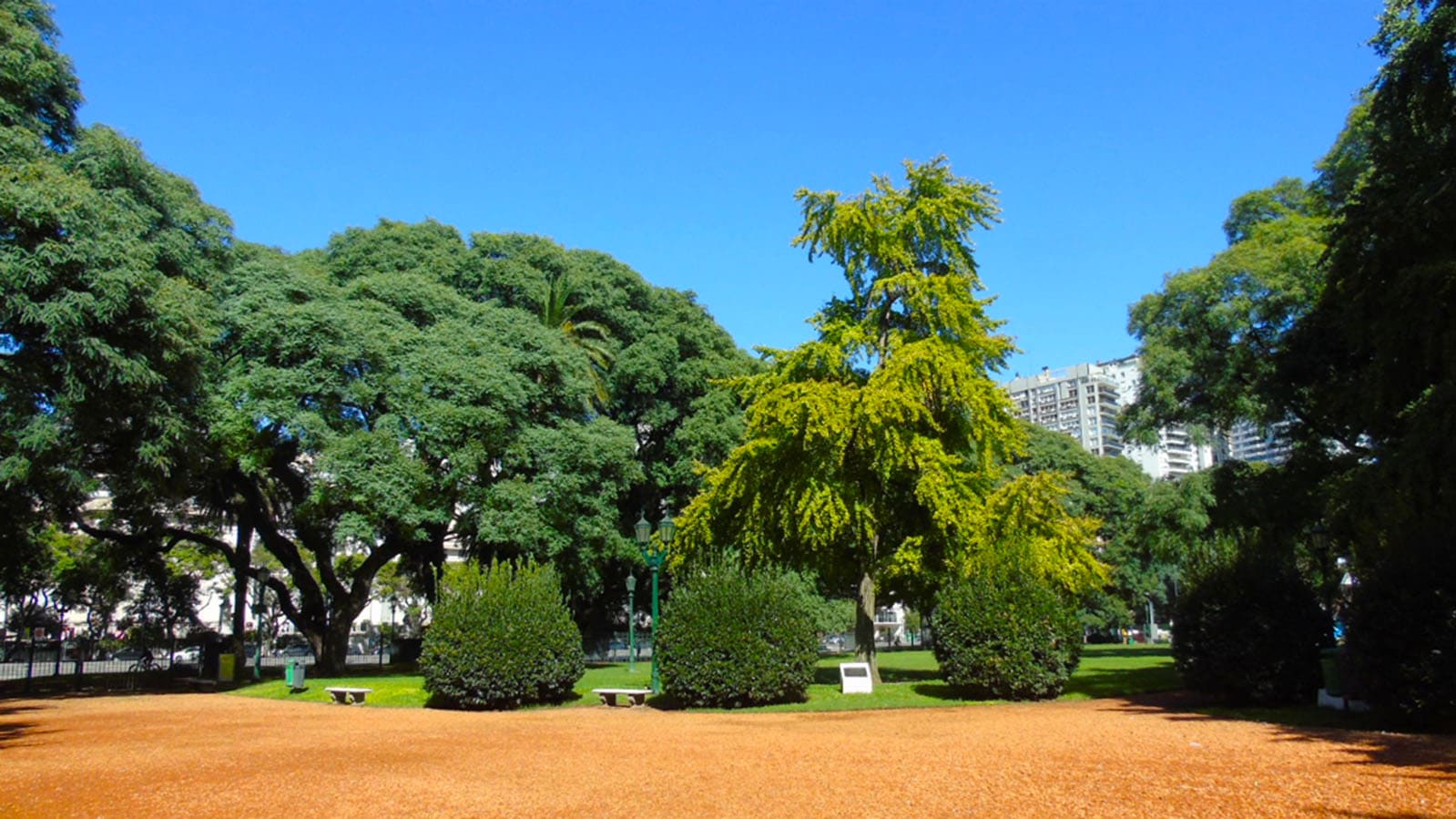 Imagen de galería 1