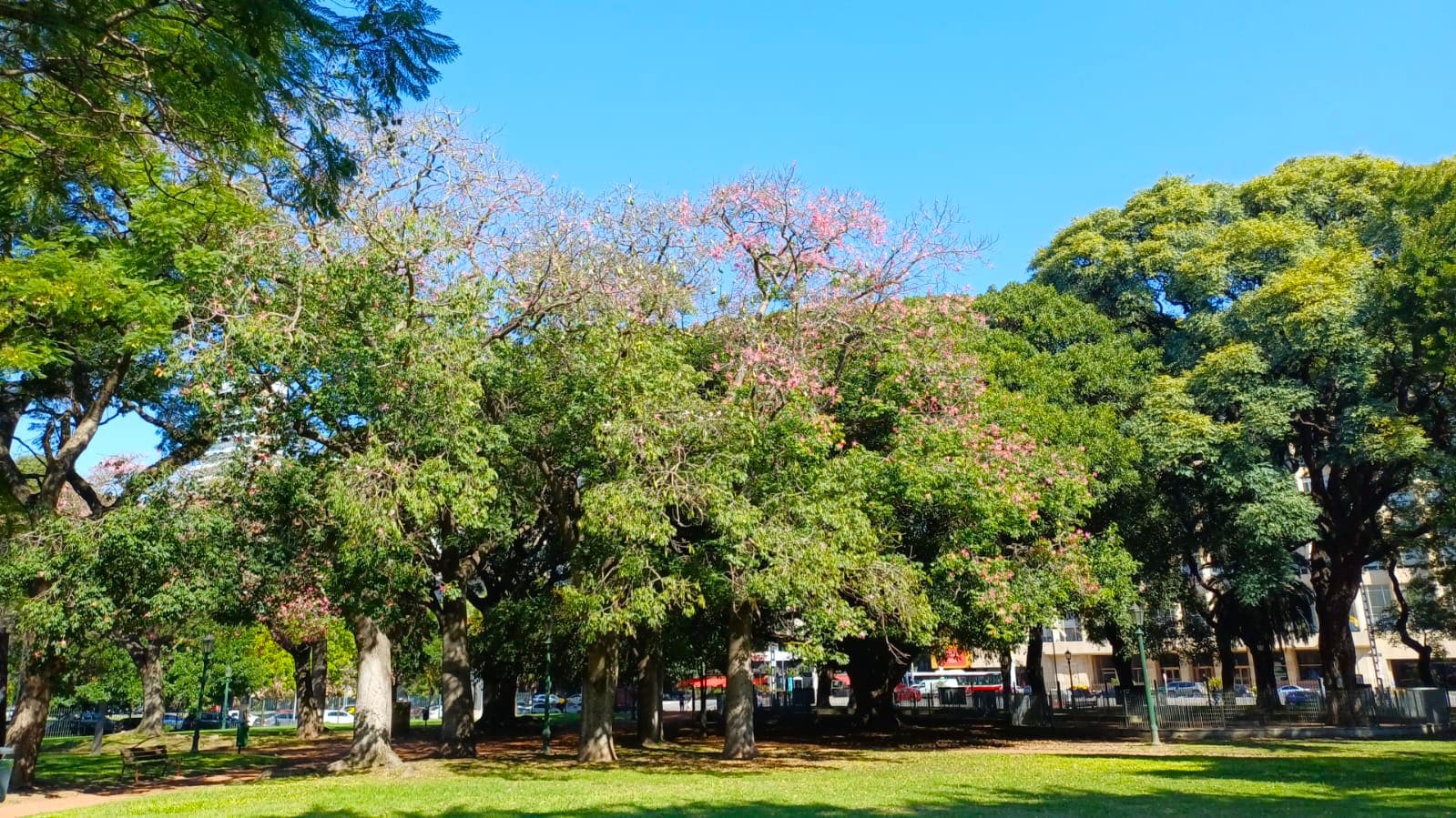 Imagen de galería 1