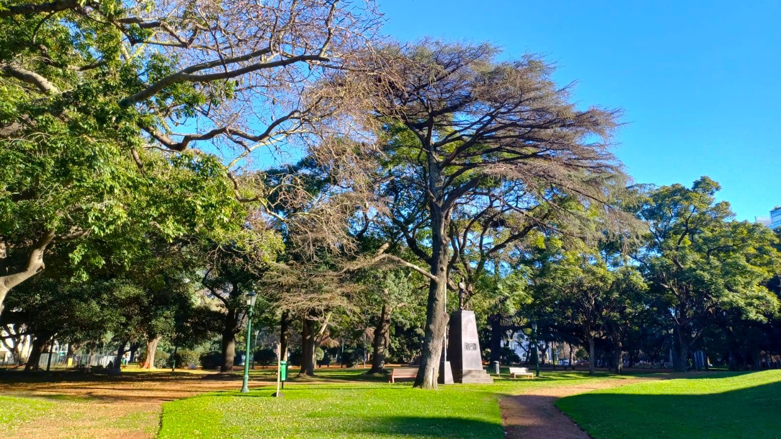 Imagen de galería 1