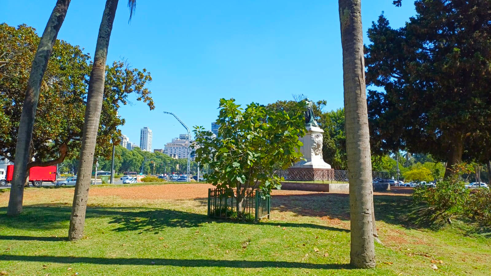 Retoño de la Higuera de Sarmiento - Imagen General