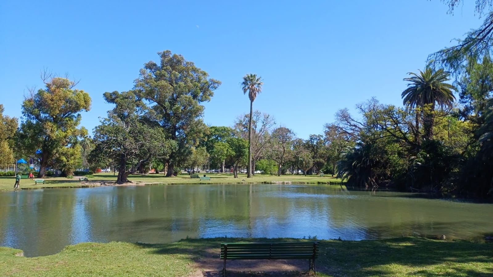 Imagen de galería 1