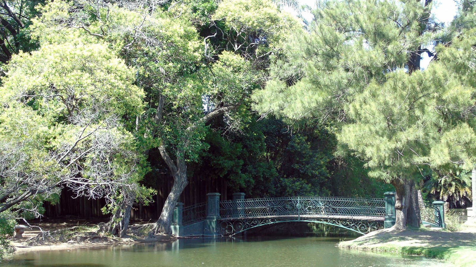 Imagen de galería 1