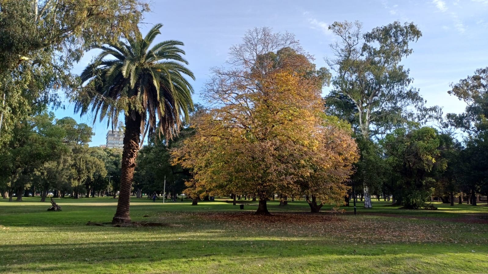 Imagen de galería 1