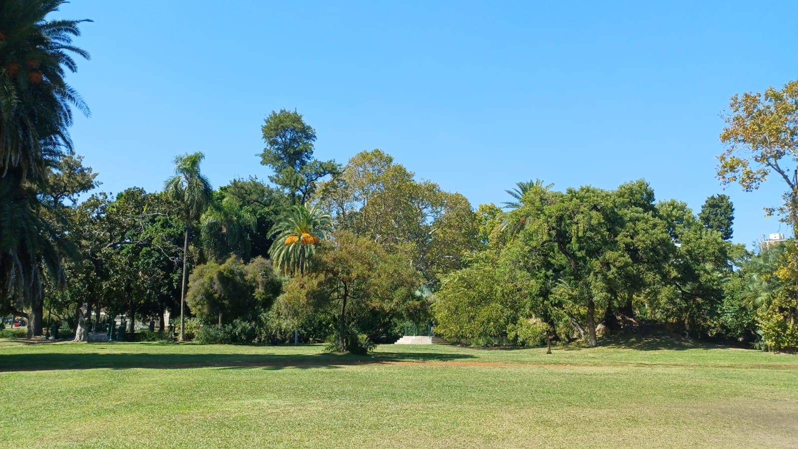 Imagen de galería 1