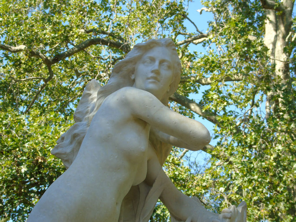 Imagen de galería 1