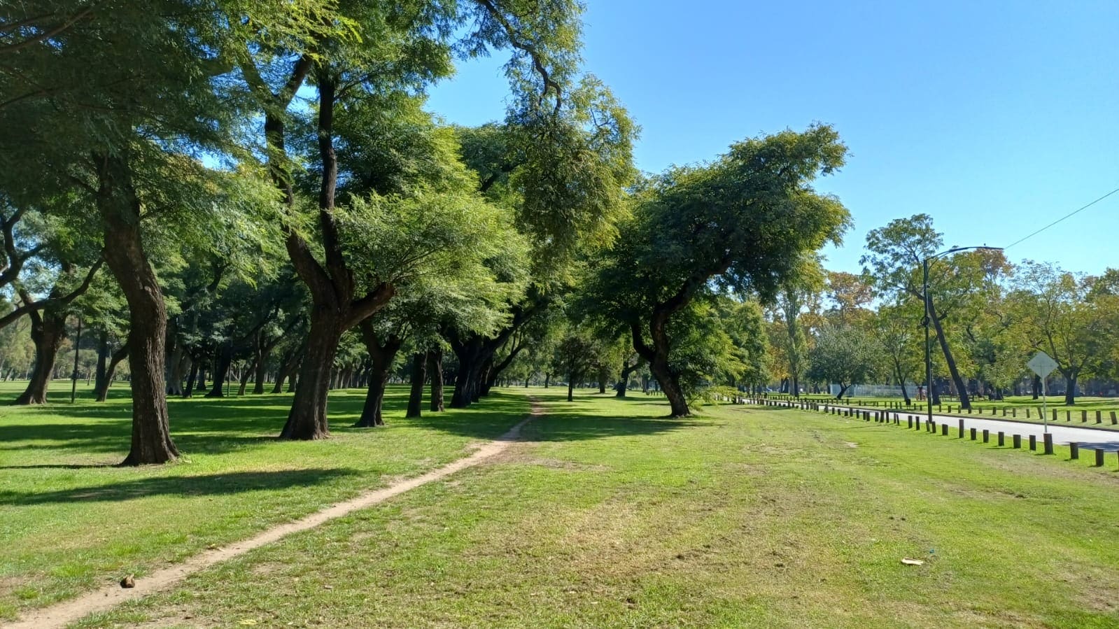 Imagen de galería 1