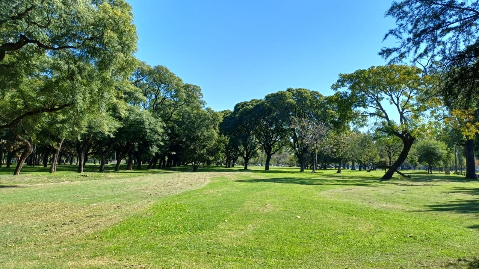 Imagen de galería 1