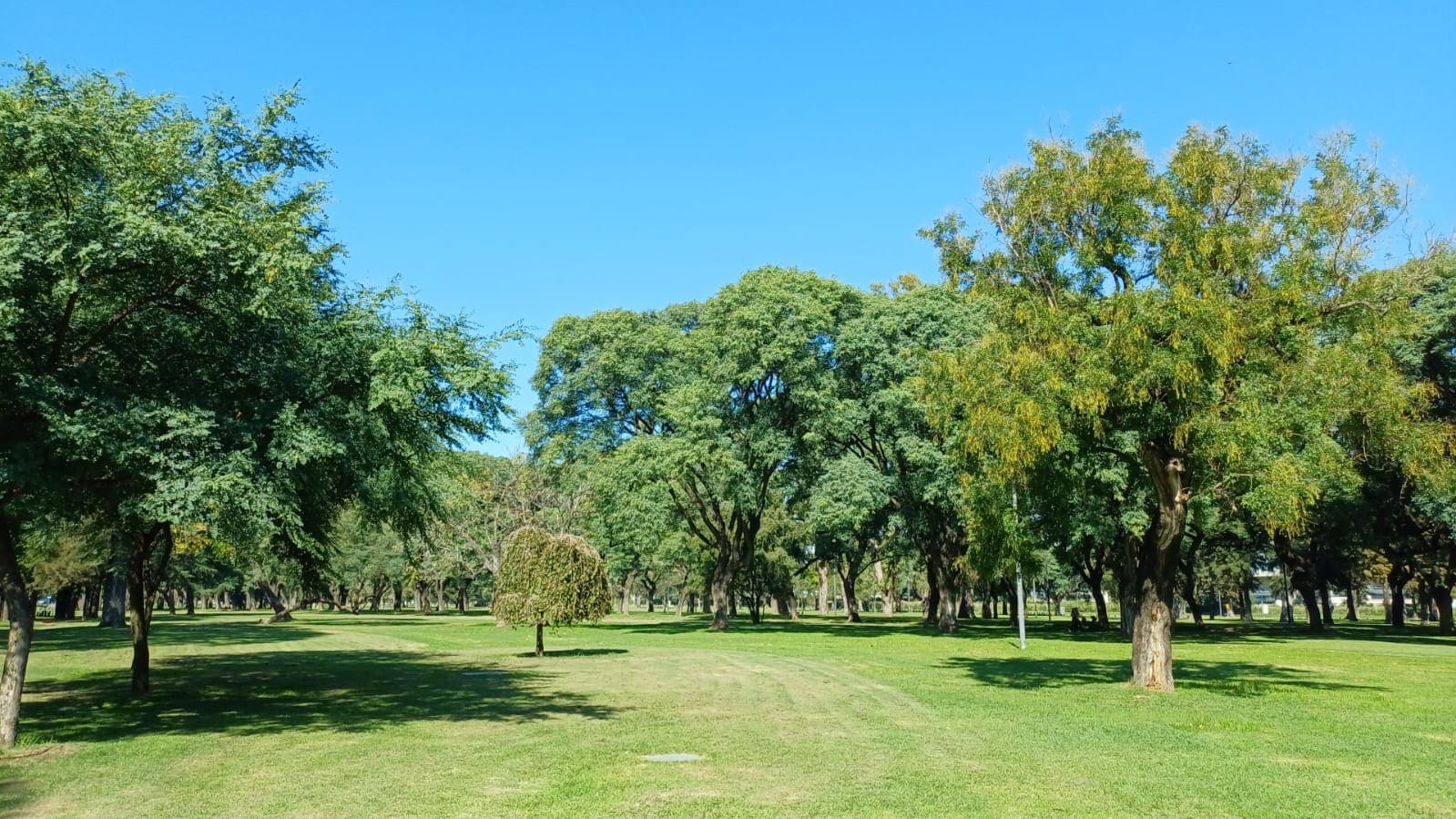 Imagen de galería 1
