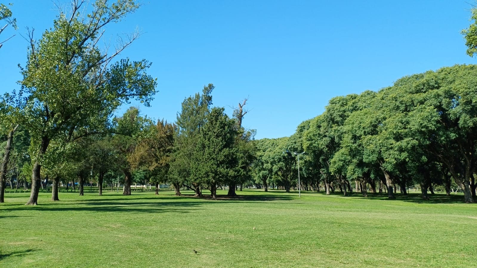 Imagen de galería 1