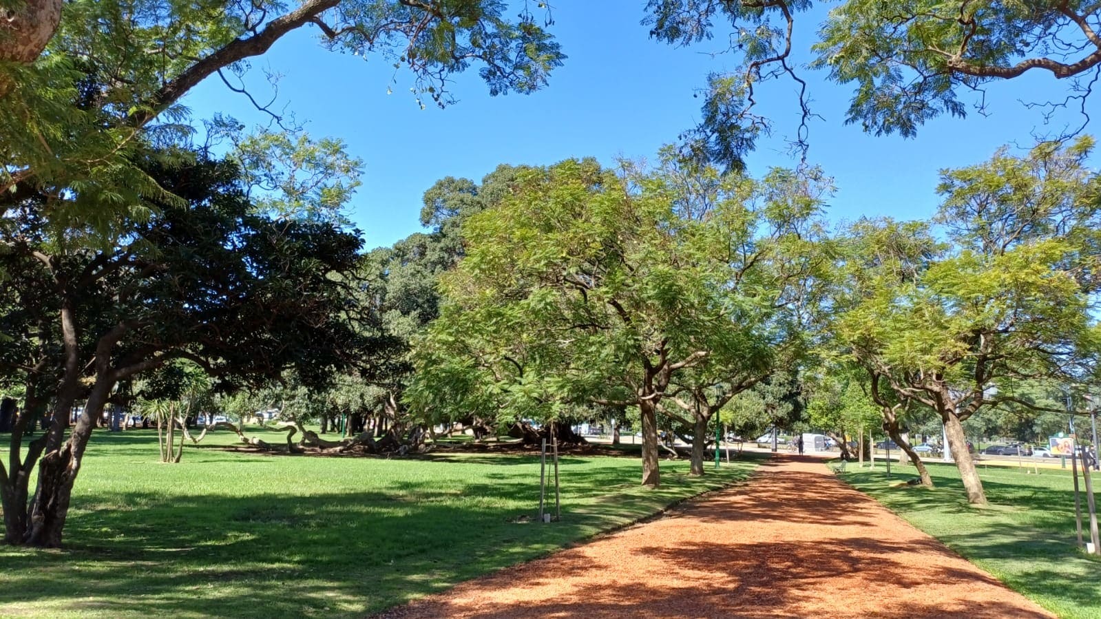 Imagen de galería 1
