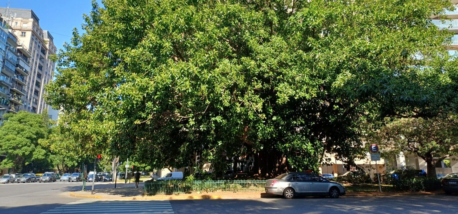 Plazoleta Tte. Gral. Eduardo Racedo