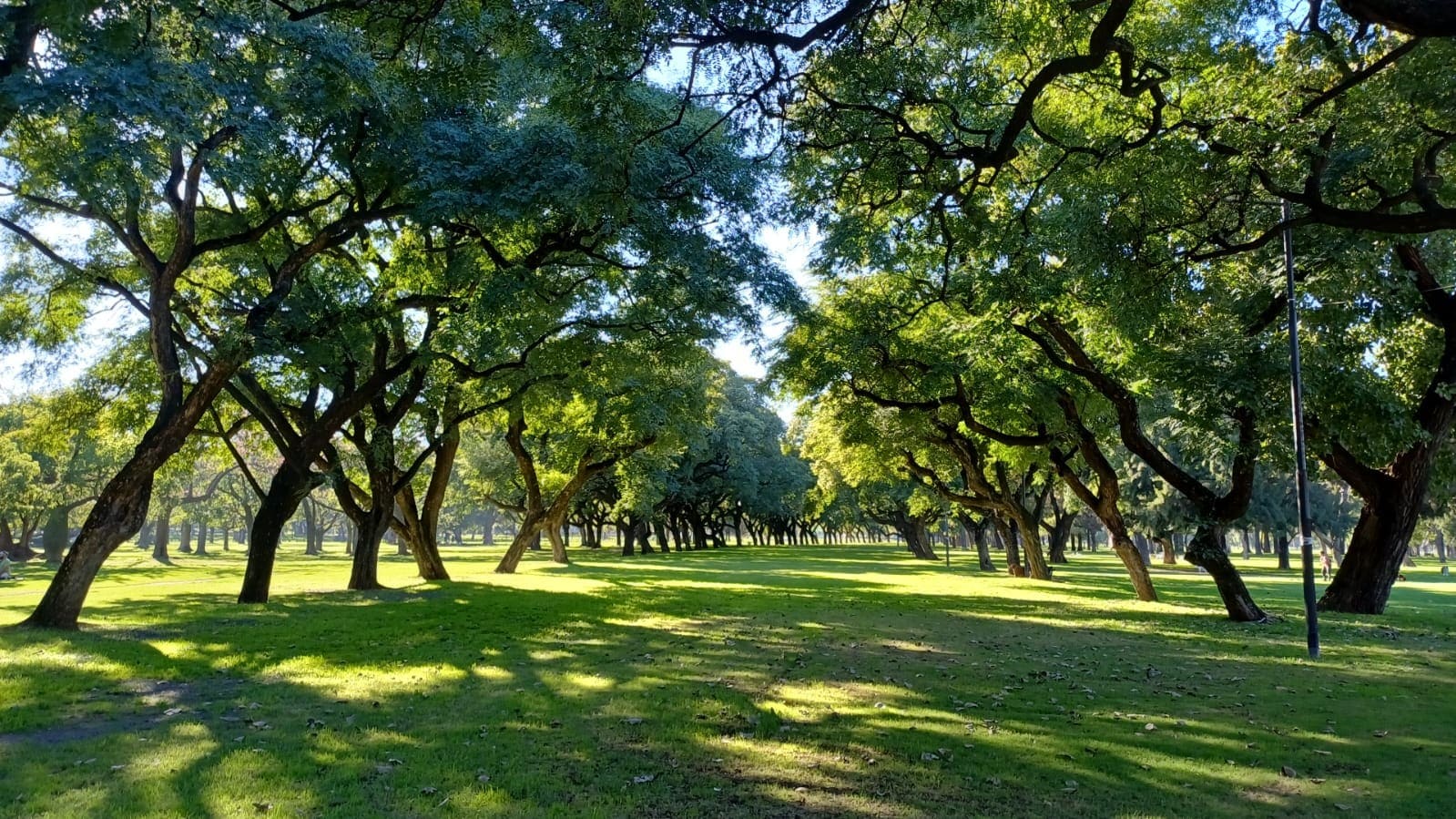 Plazoleta Florencio Sánchez
