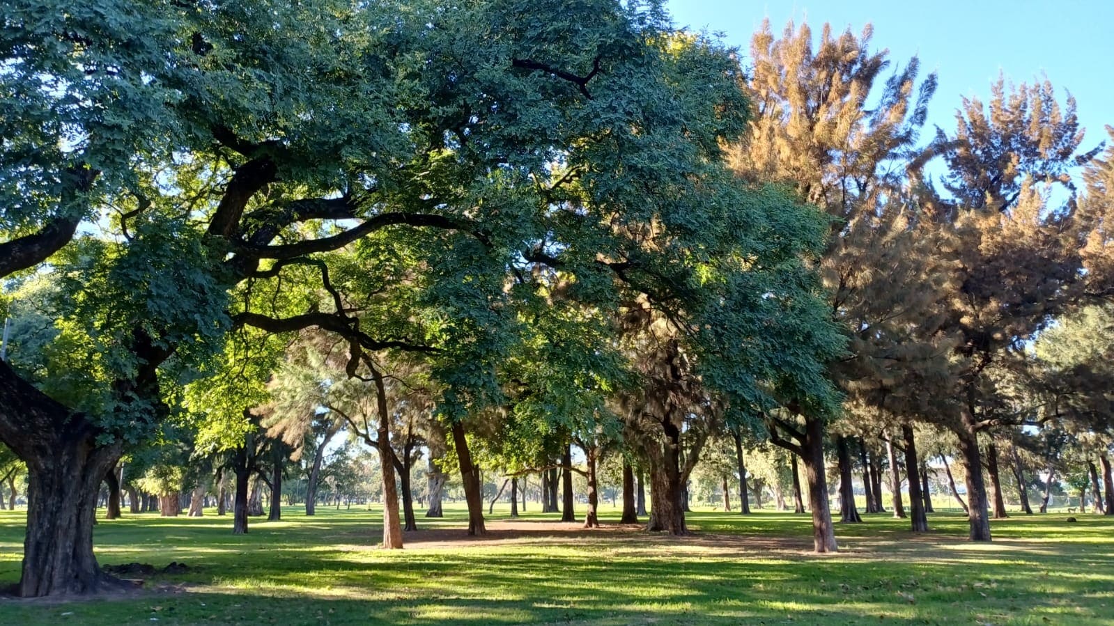 Plazoleta Florencio Sánchez