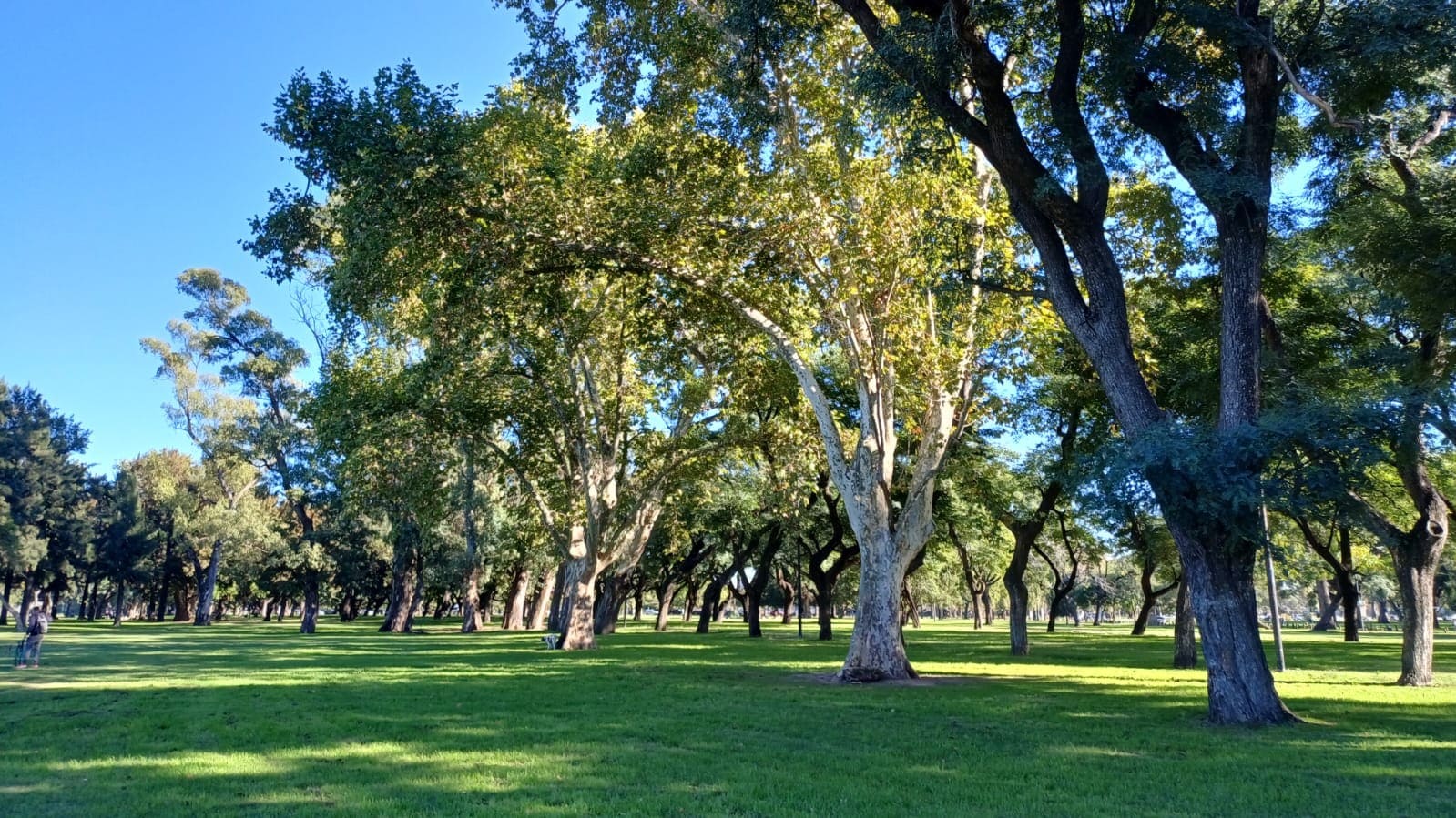 Plazoleta Florencio Sánchez