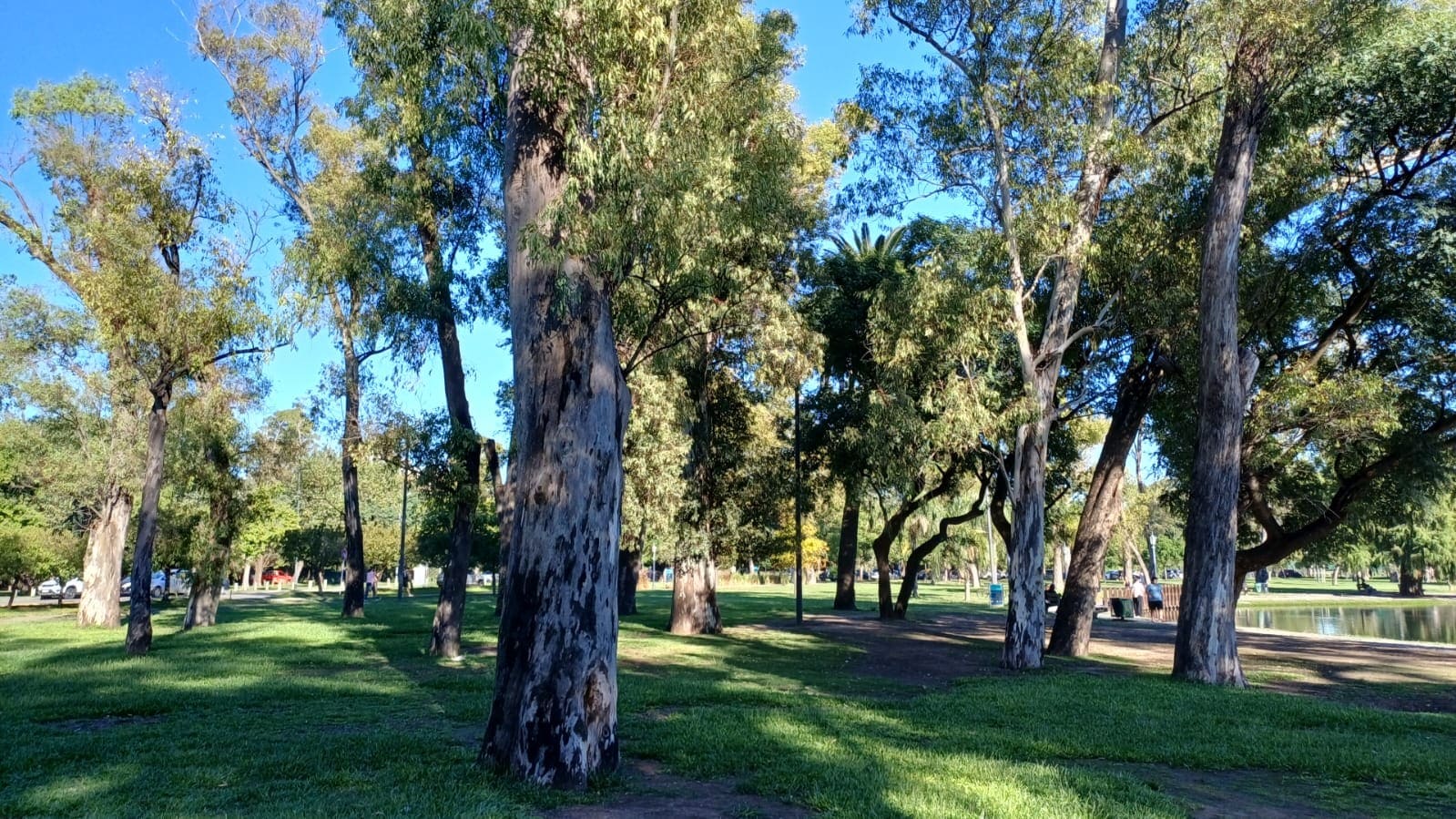 Paseo Ernesto Jaimoch