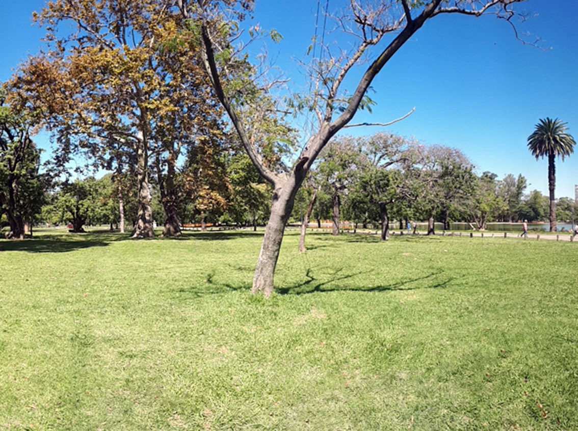 Plaza Fray Mocho