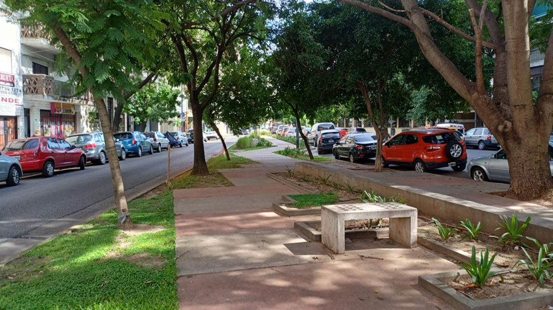 Imagen de galería