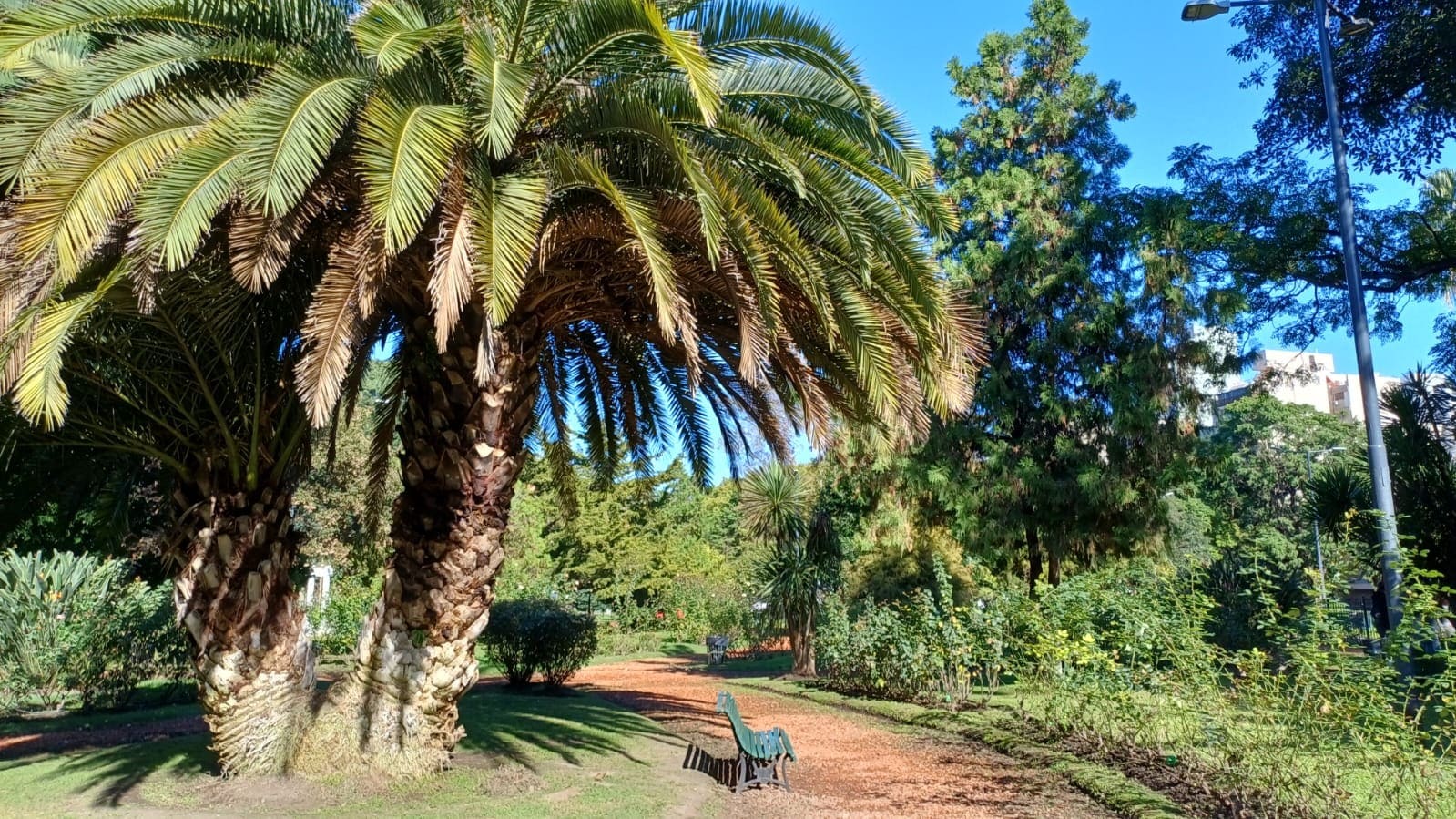 Imagen de galería 1