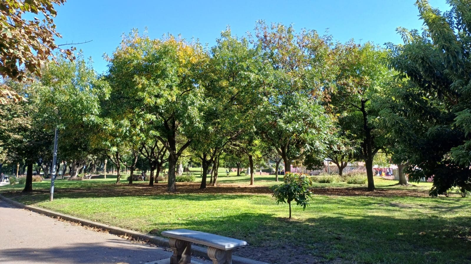 Imagen de galería 1