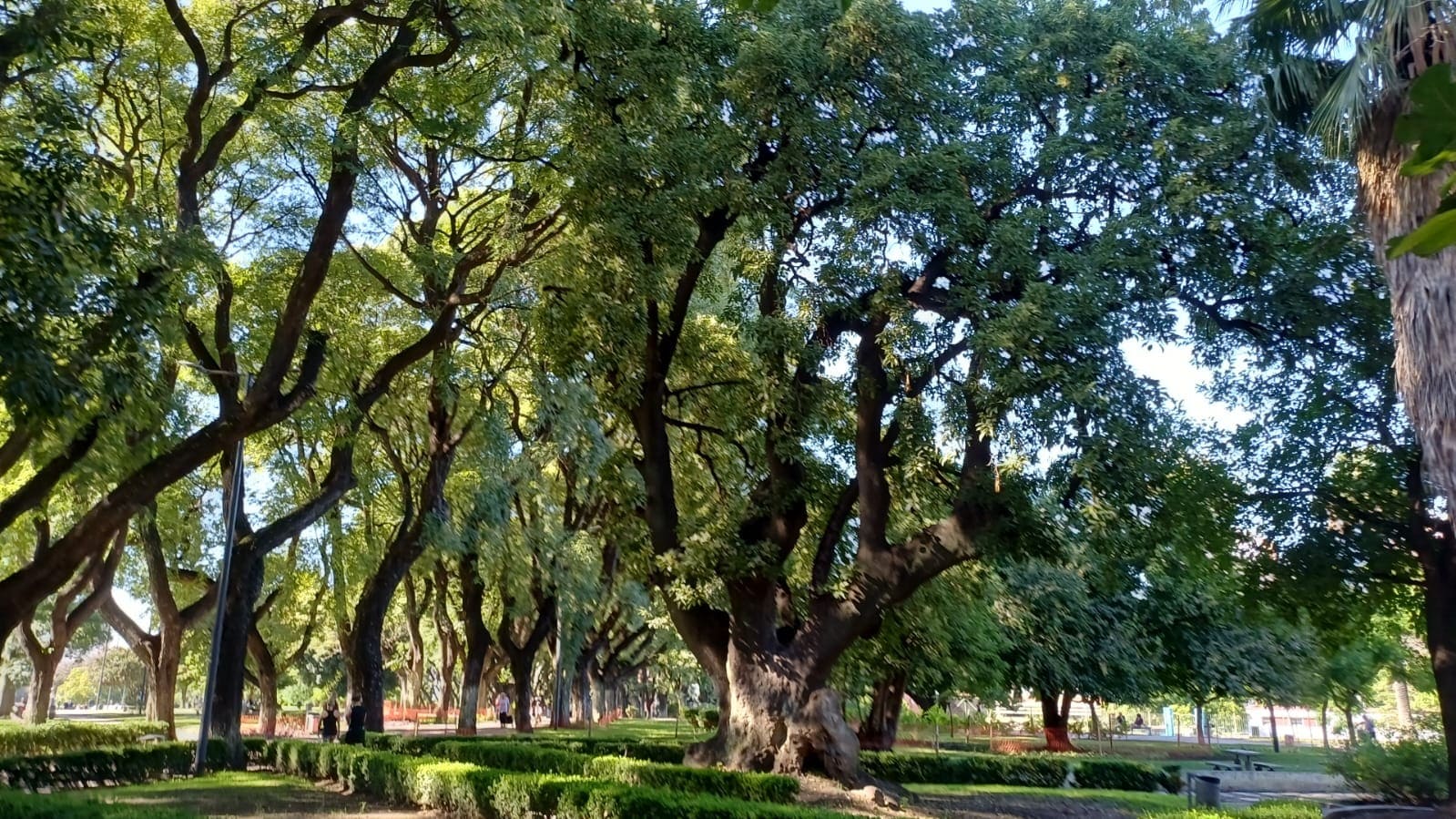 Imagen de galería 1