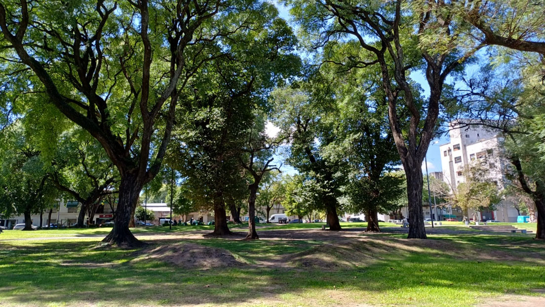 Vista del parque