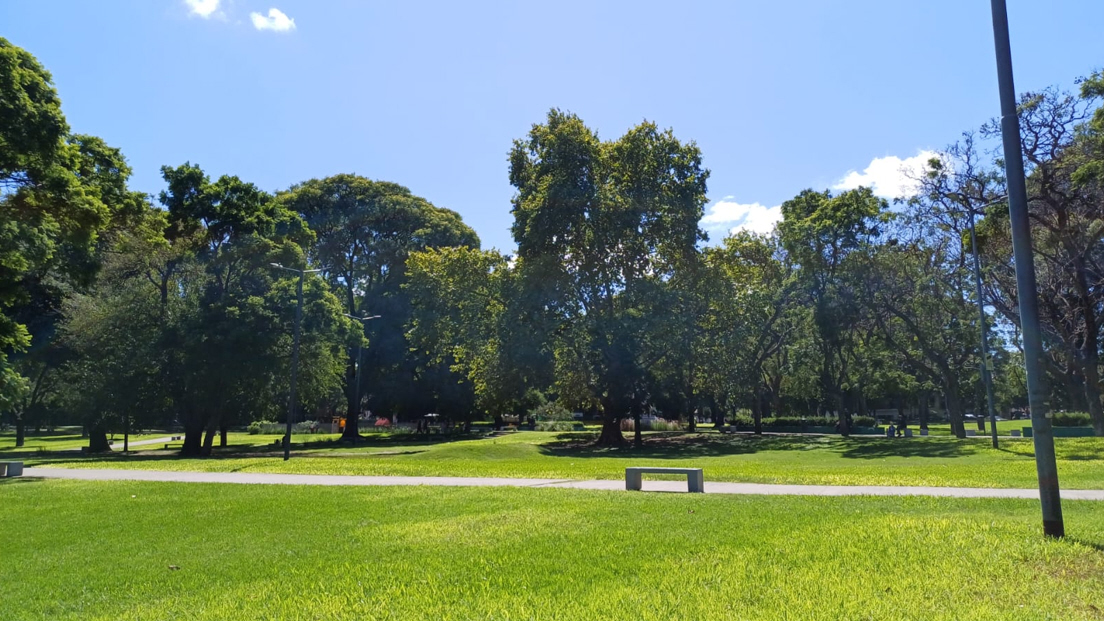 Vista del parque