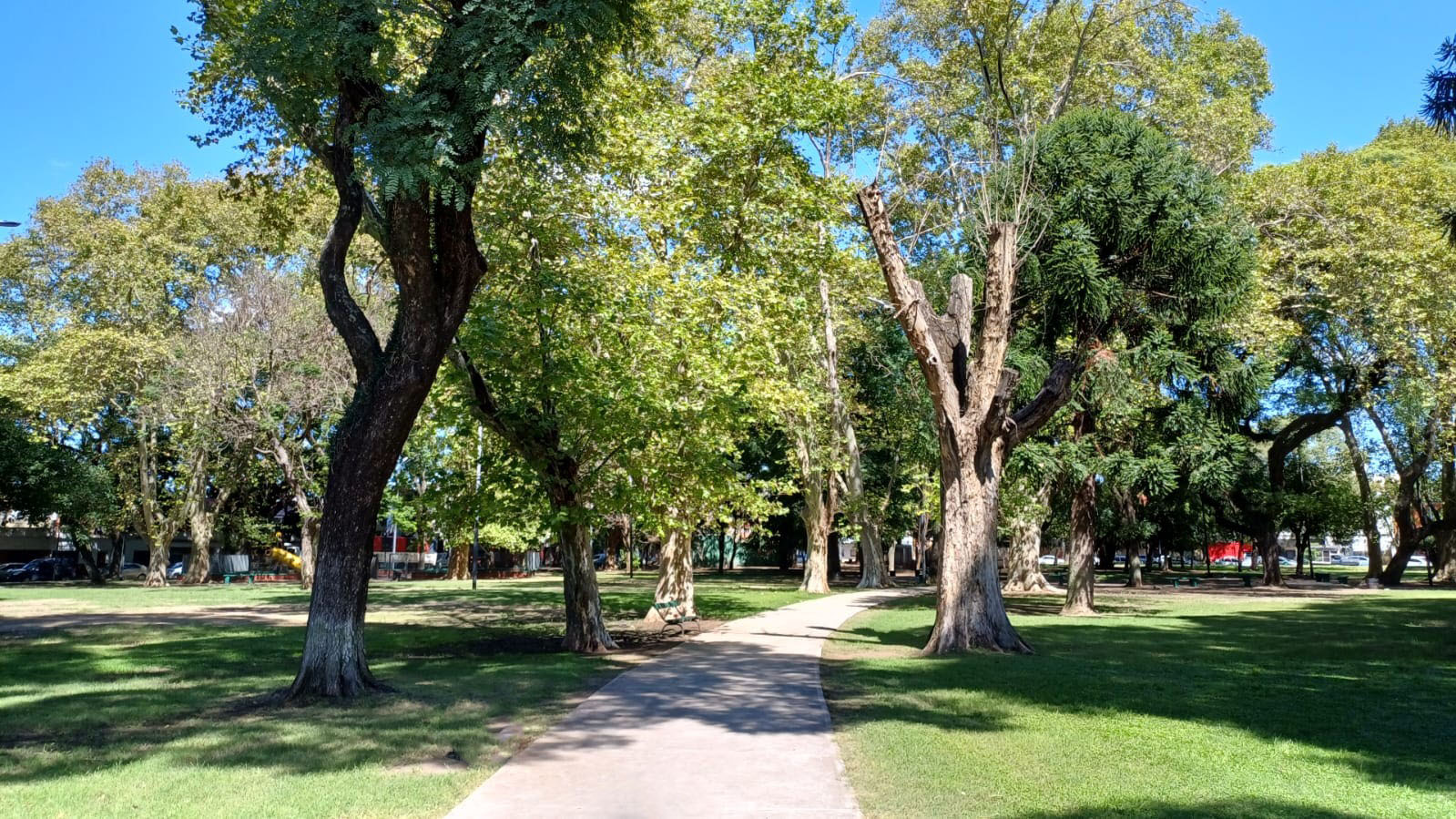 Plaza Dr. José C. Paz