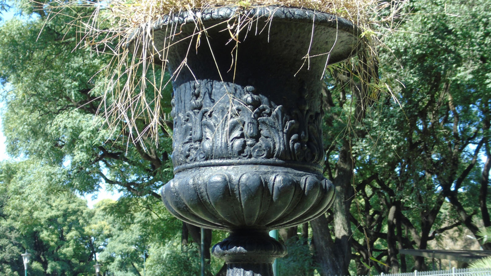 Parque de los Patricios