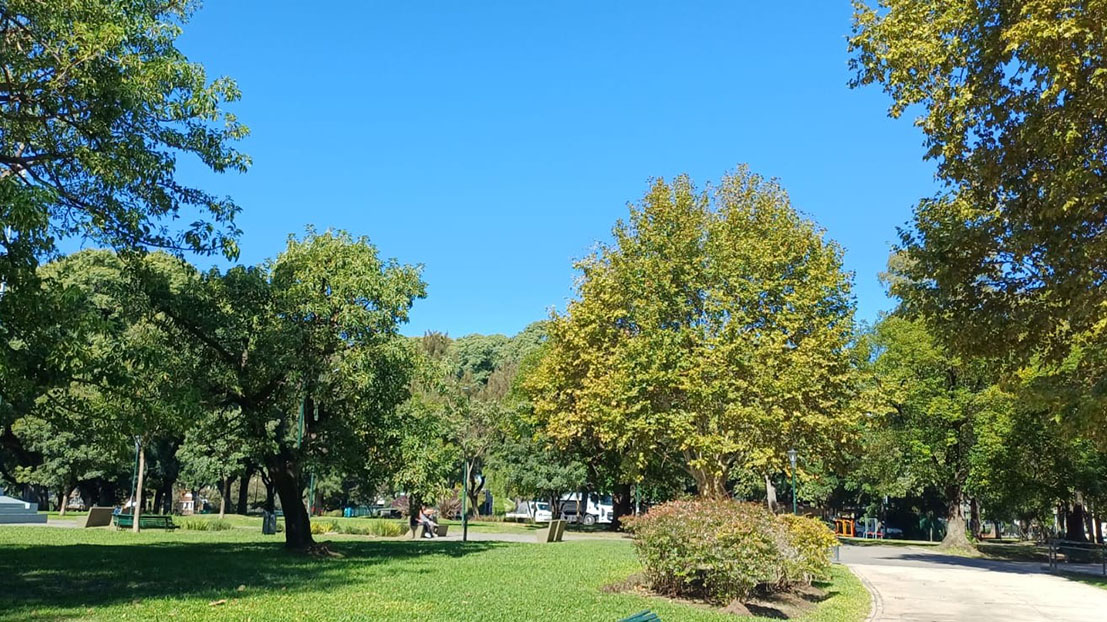 Vista del parque