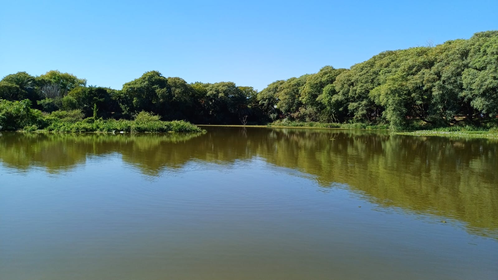 Reserva Ecológica Costanera Sur