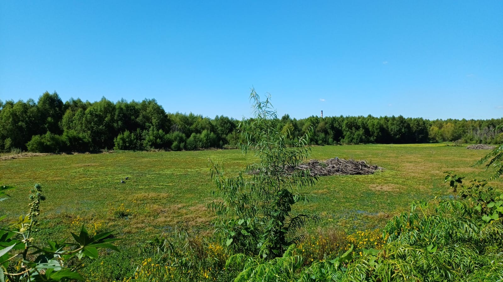 Reserva Ecológica Costanera Sur