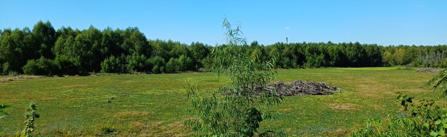 Reserva Ecológica Costanera Sur