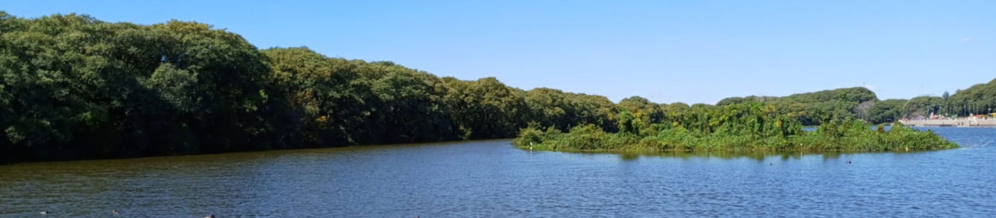 Reserva Natural Ecológica Costanera Sur