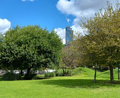 Parque Virginia Bolten