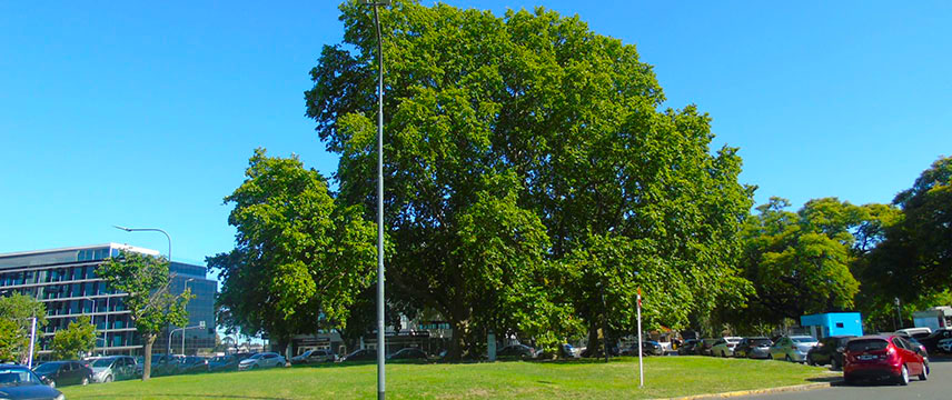 Plazoleta Don Enrique El Navegante