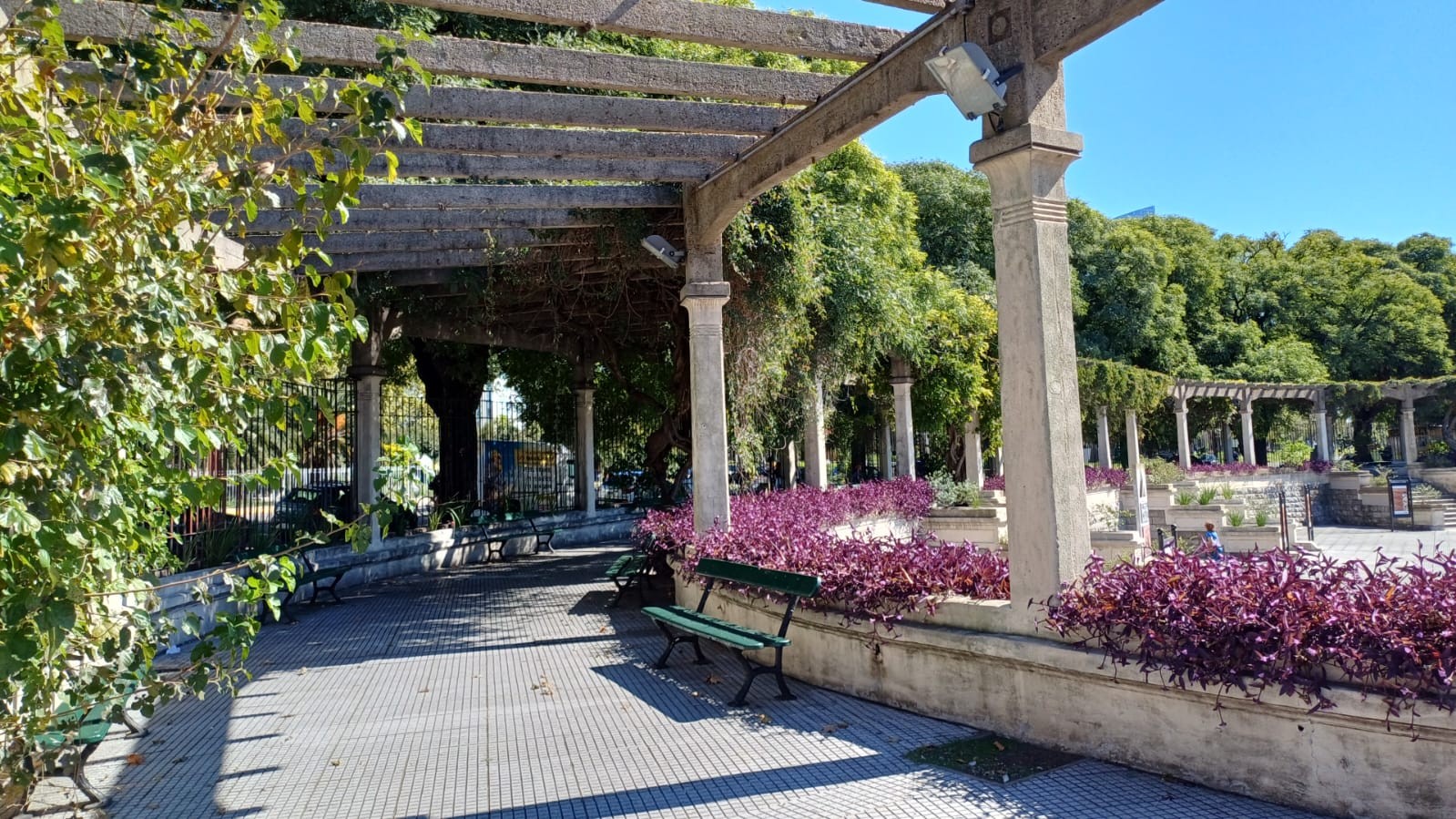 Imagen de galería