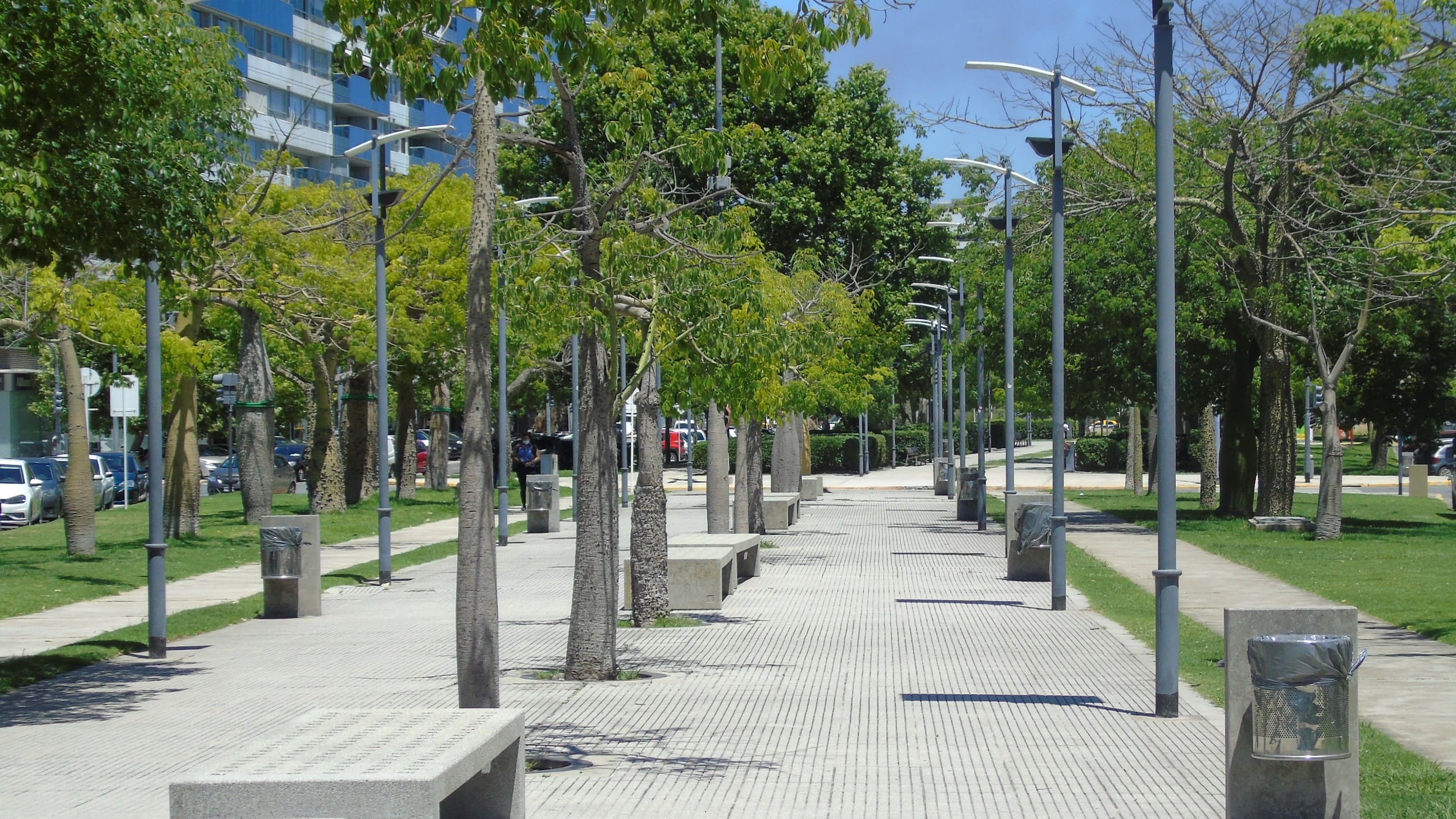 Boulevard Rosario Vera Peñaloza