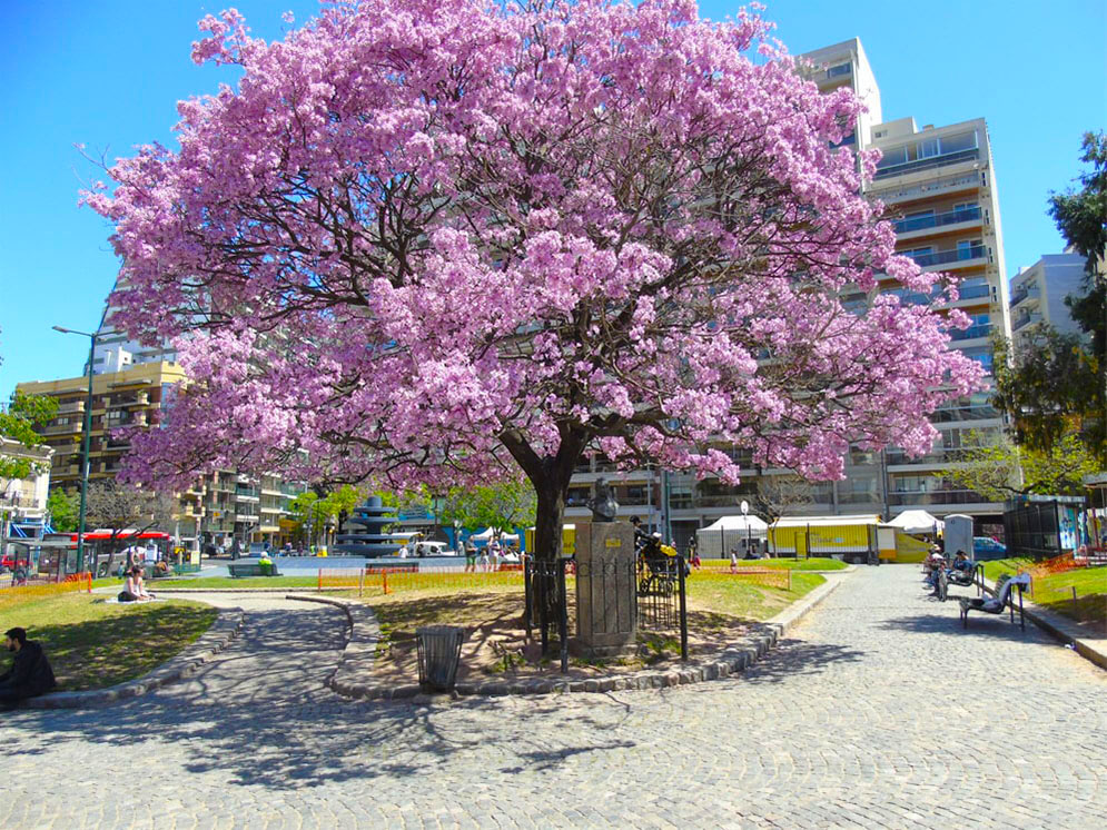 Plaza Mons. Miguel De Andrea
