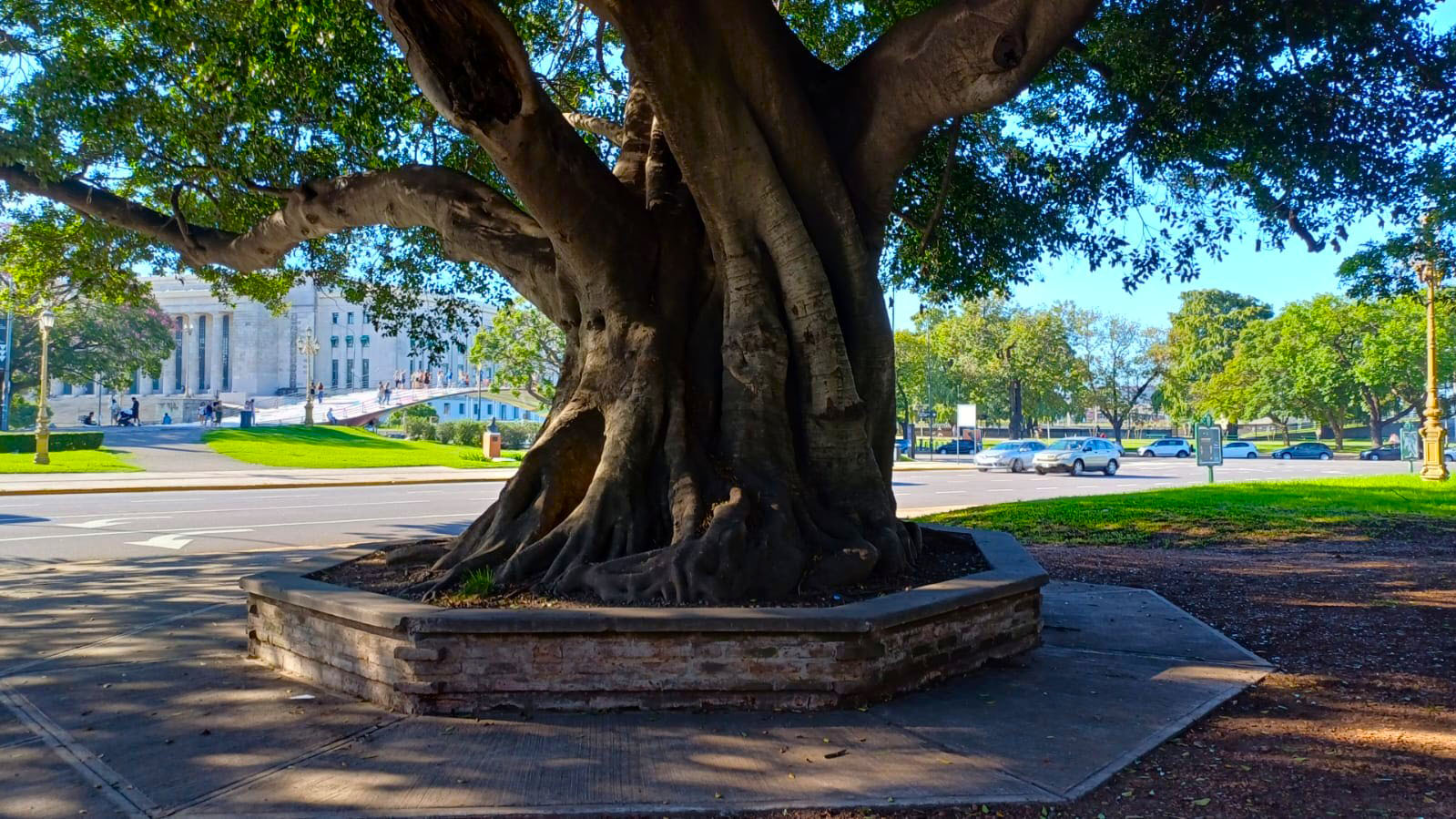 Imagen de galería 1