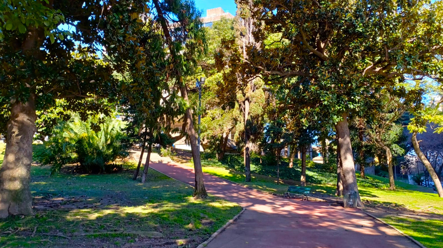 Imagen de galería 1