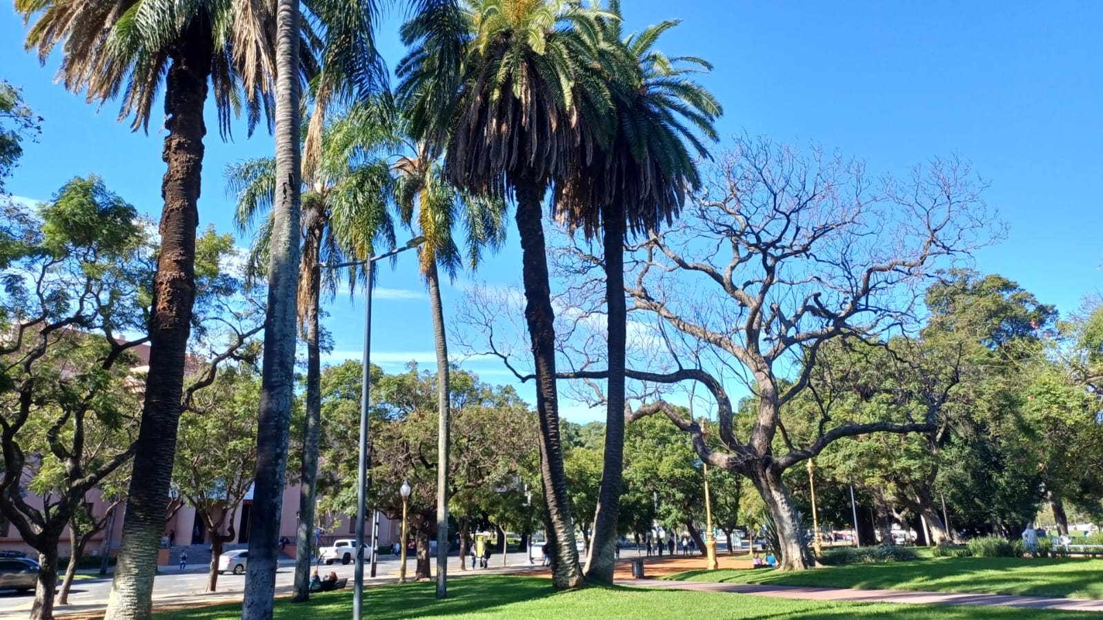 Plaza Francia