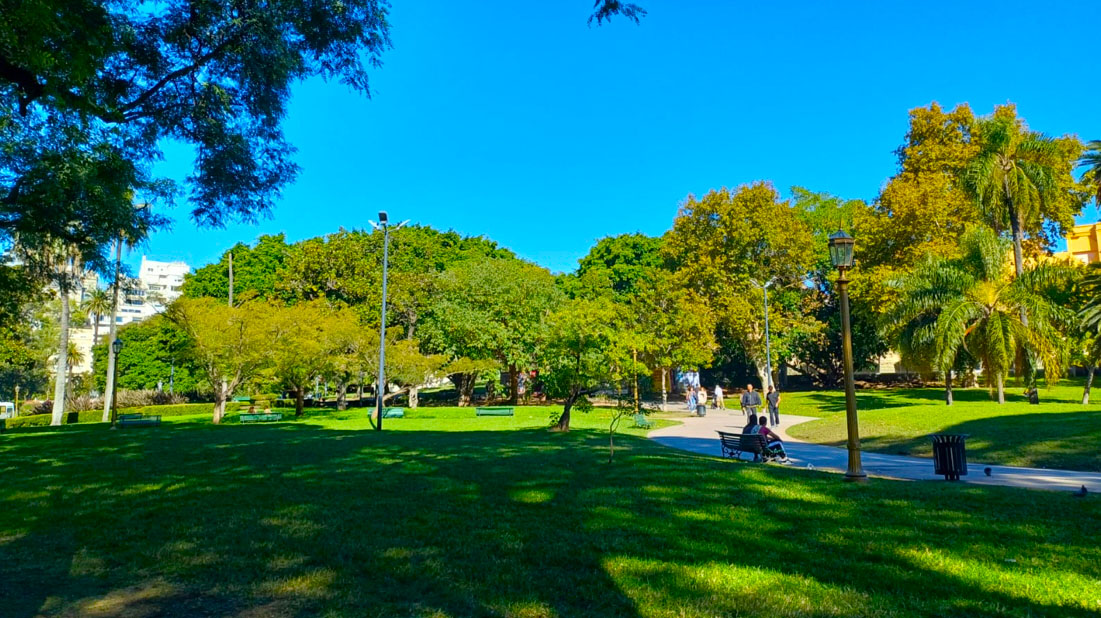 Imagen de galería 1