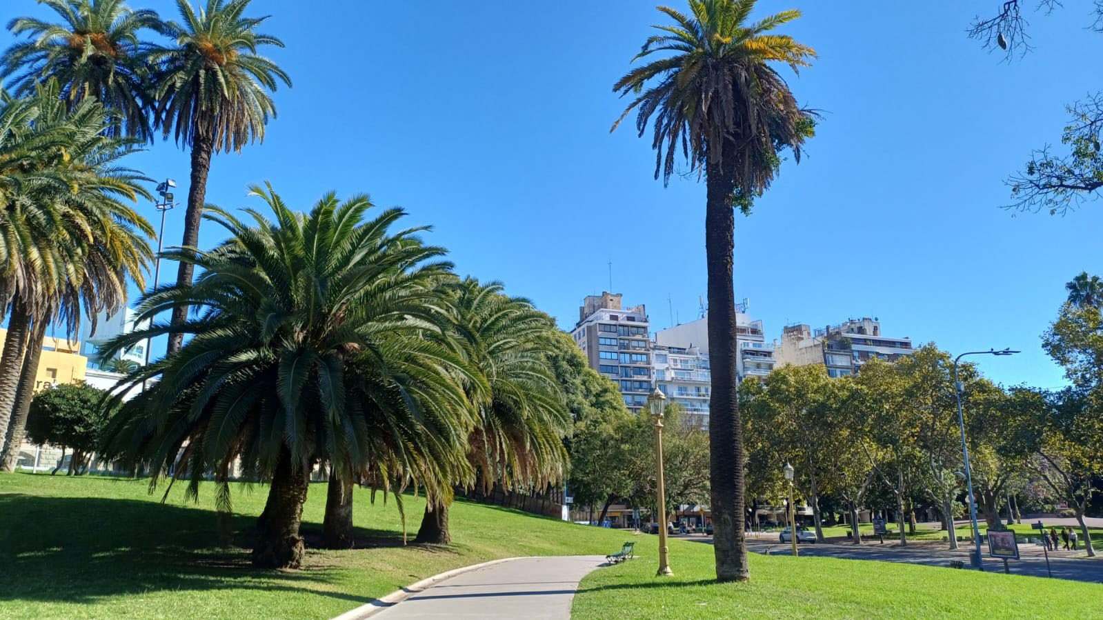 Vista Panorámica Plaza Int. Alvear