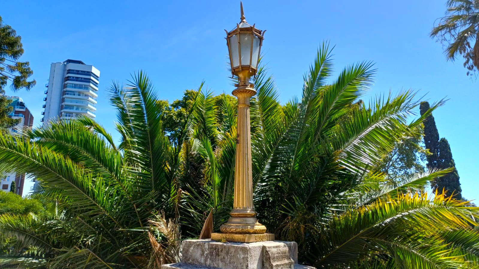 Imagen de galería 1